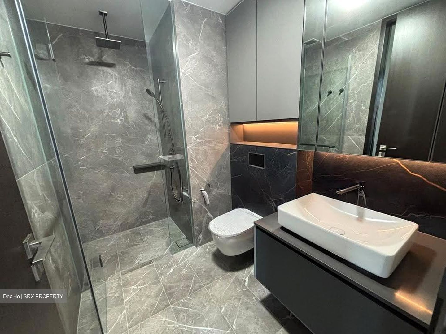 Irwell Hill Residences (D9), Apartment #615217581
